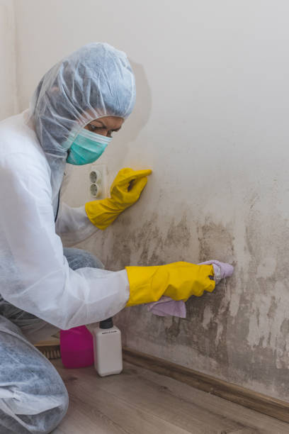 Best Commercial Mold Inspection  in Highlands, NJ