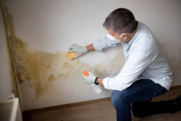 Mold Remediation for Rental Properties in Highlands, NJ