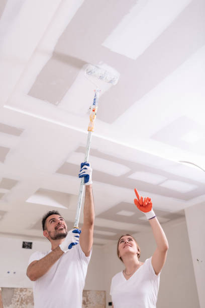 Best Mold Prevention Services  in Highlands, NJ
