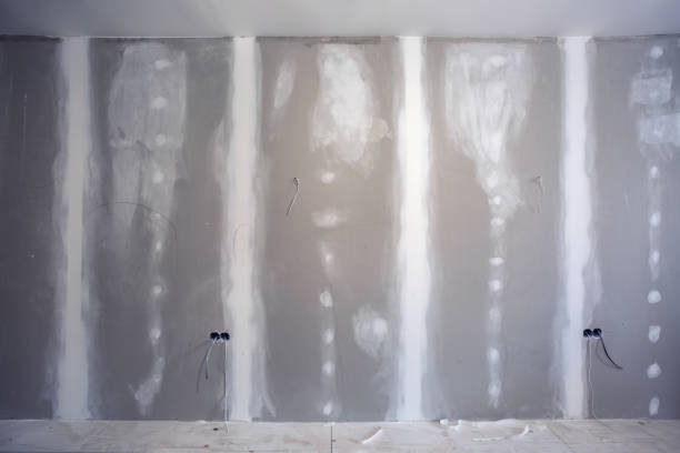 Best Mold Damage Restoration  in Highlands, NJ